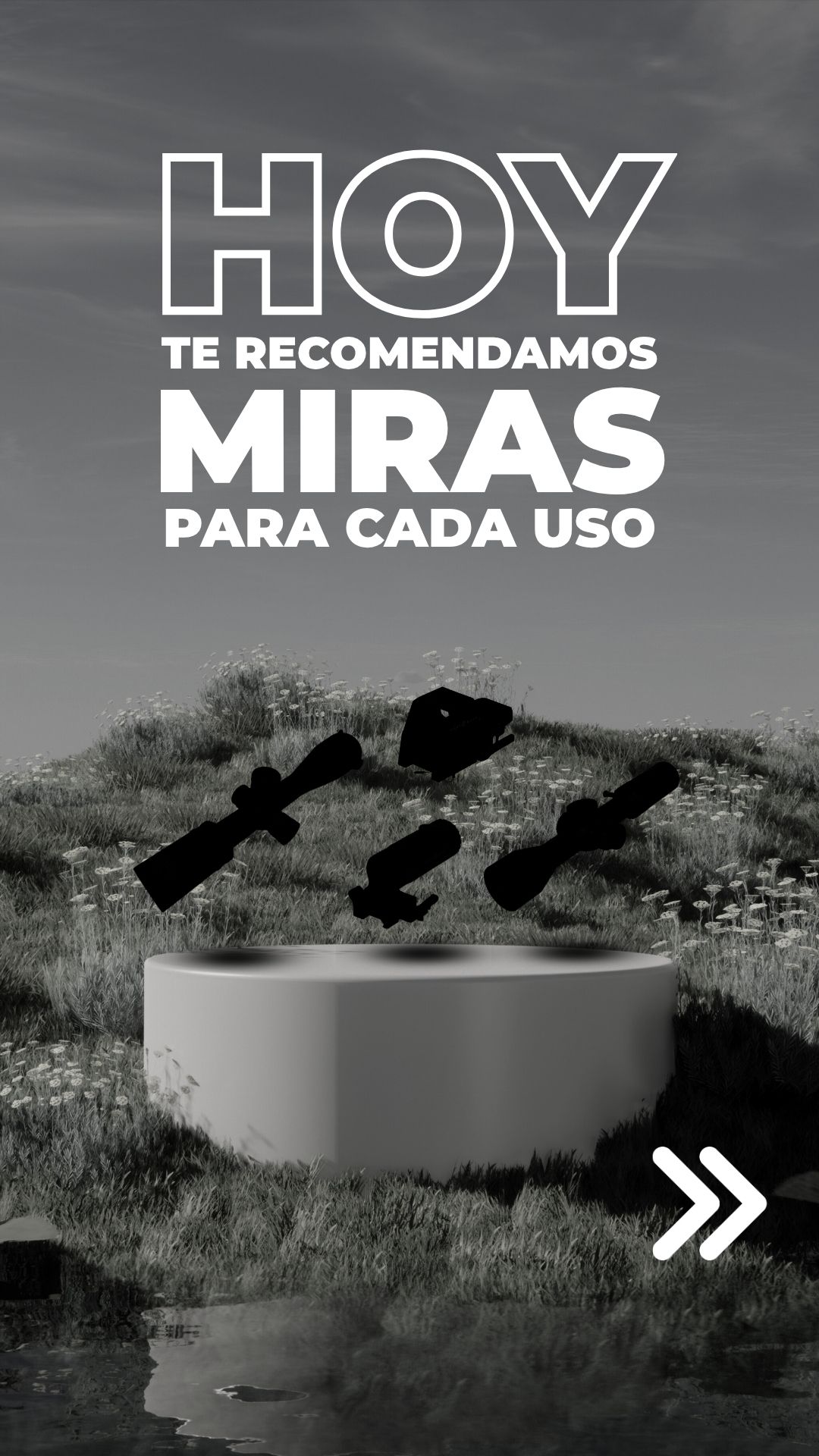 Swat Corp — Miras para Cada Uso